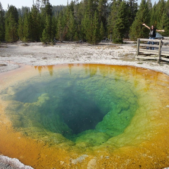 Meet your Posher…? - Picture 16 of 17